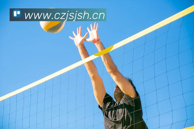 九游网官网入口APP 封面图